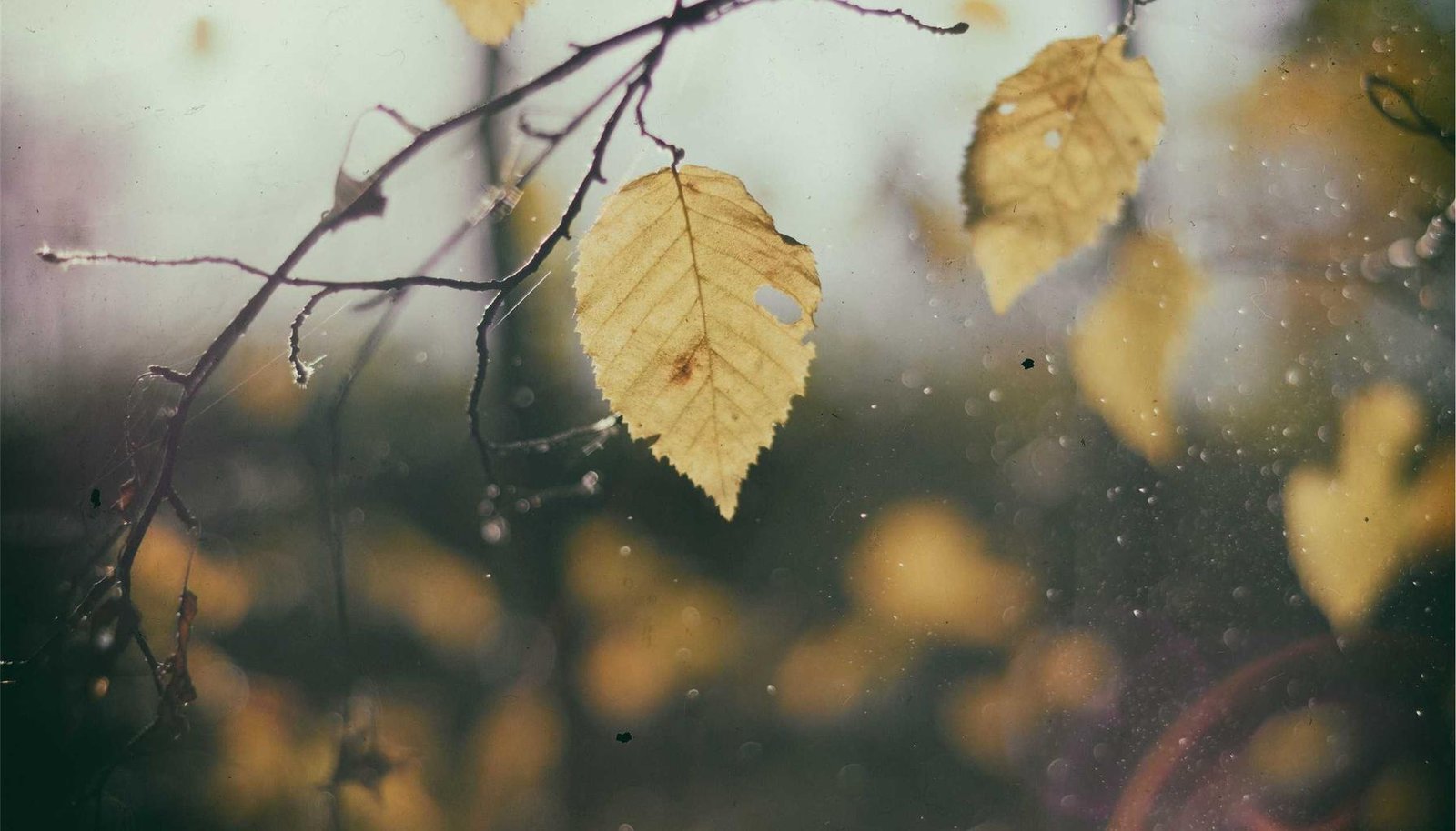 شرح تفصيلي: حل مشكلة بطء الإنترنت عند فتح التطبيقات بسرعة وفعالية