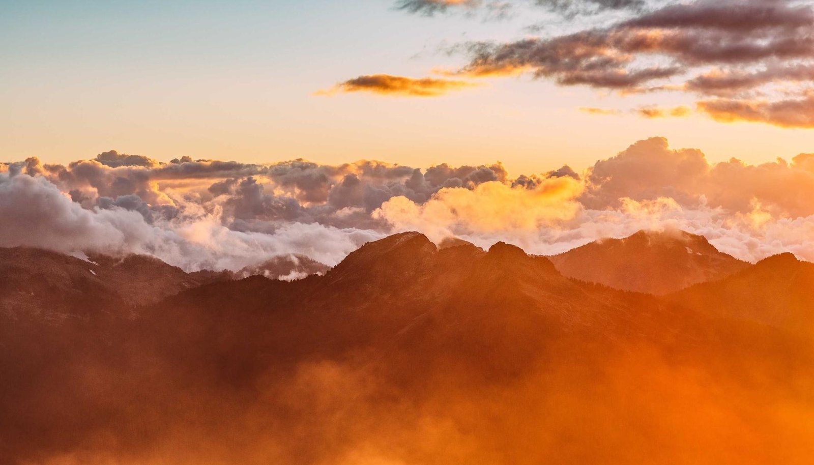 دليل زيوت وسوائل السيارة: متى تغير وكيف تختار