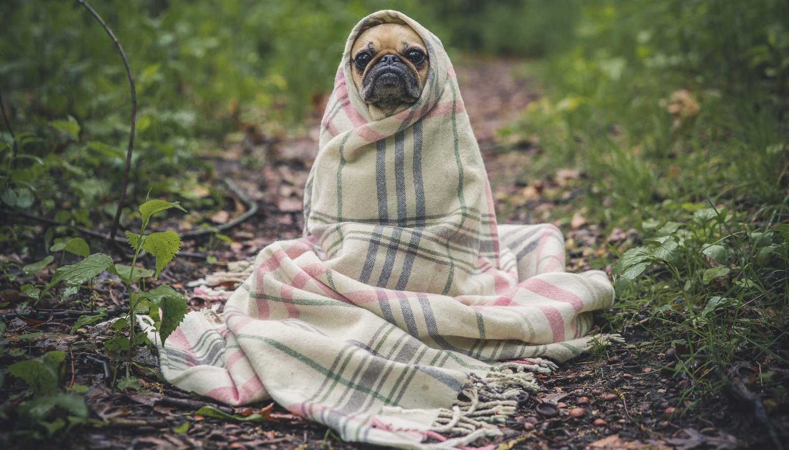 صورة توضيحية: سيارة تويوتا لا تشتغل: 8 أسباب رئيسية وحلول عملية خطوة بخطوة