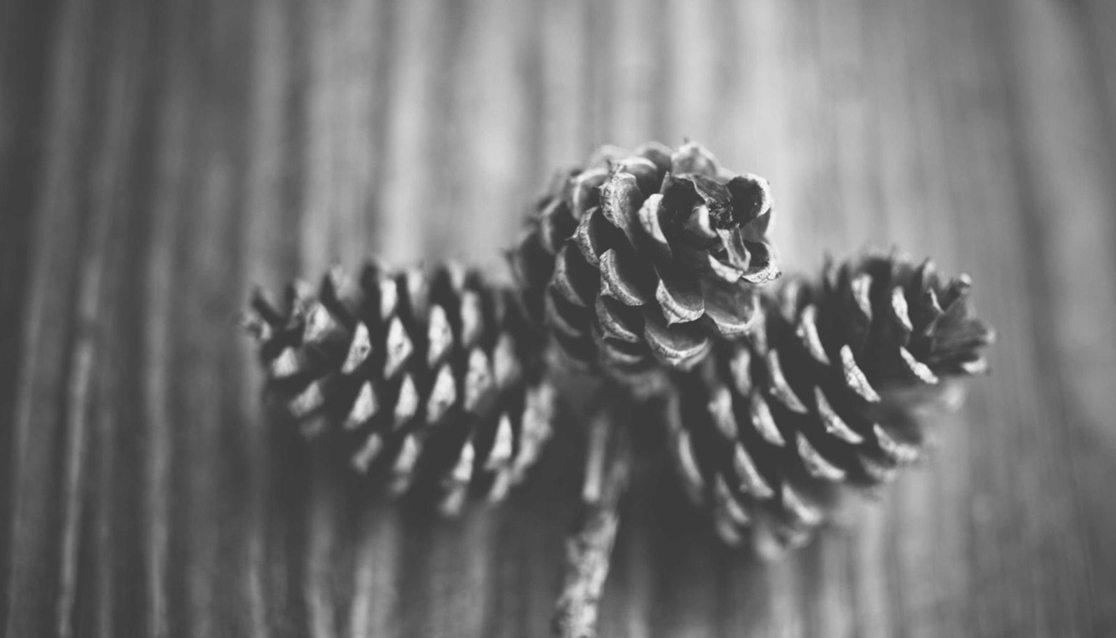 شرح تفصيلي: 7 أسباب وحلول لبطء الإنترنت في الواي فاي