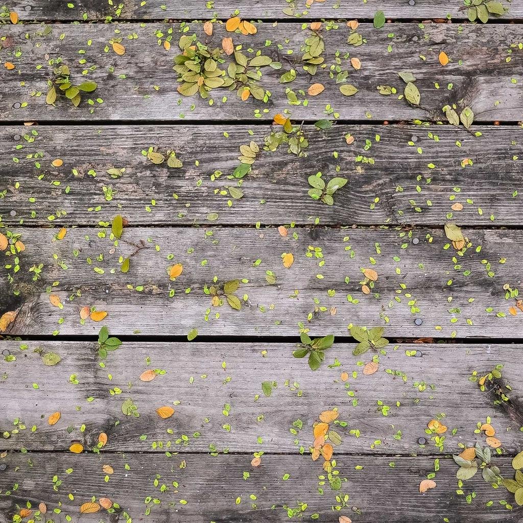 دليل صيانة المكنسة الكهربائية - إطالة عمر الجهاز