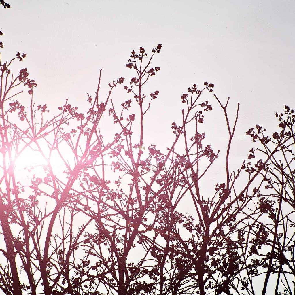 صيانة مكيف السيارة - دليل كامل للصيف